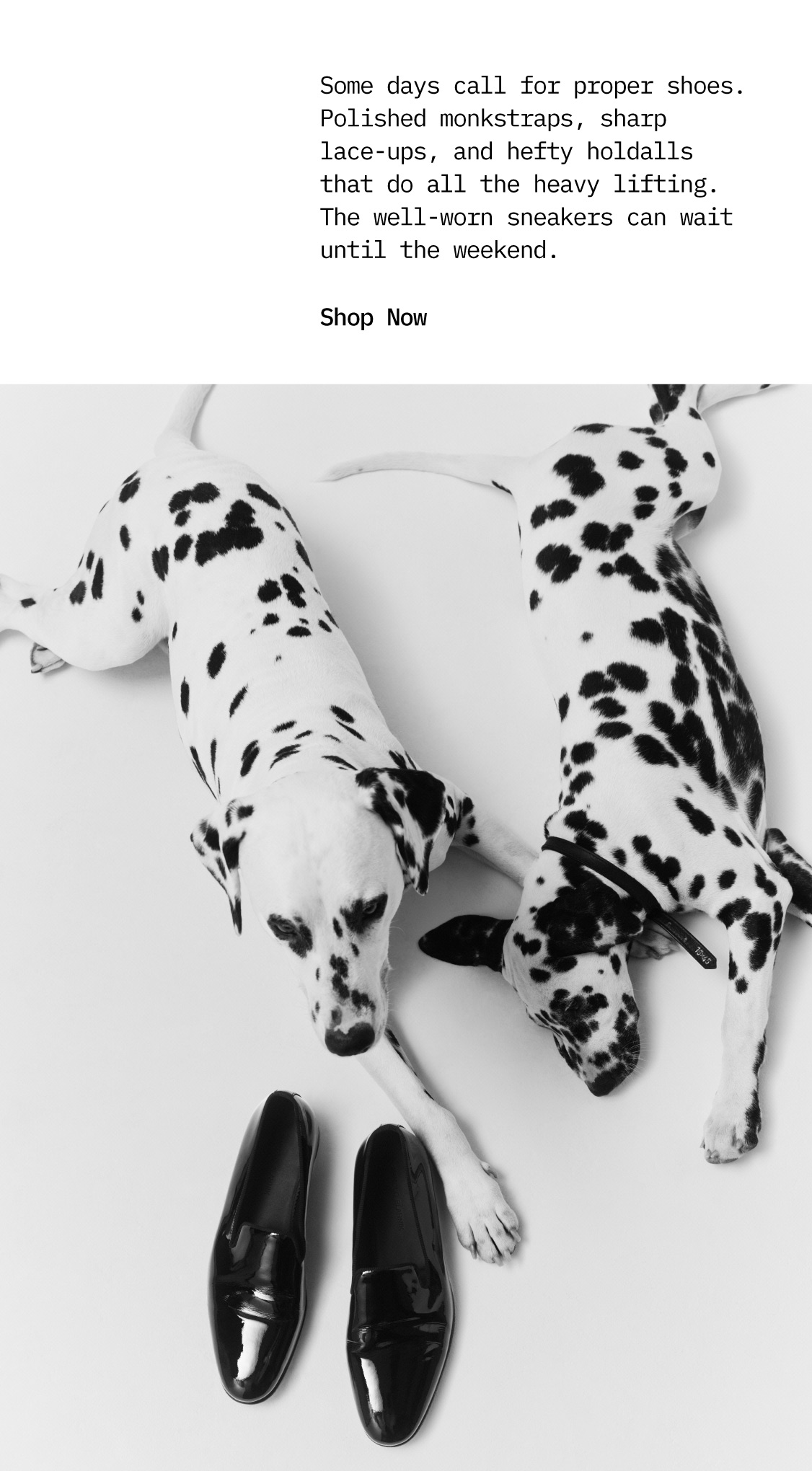 Level Shoes Top Picks — Shop Now