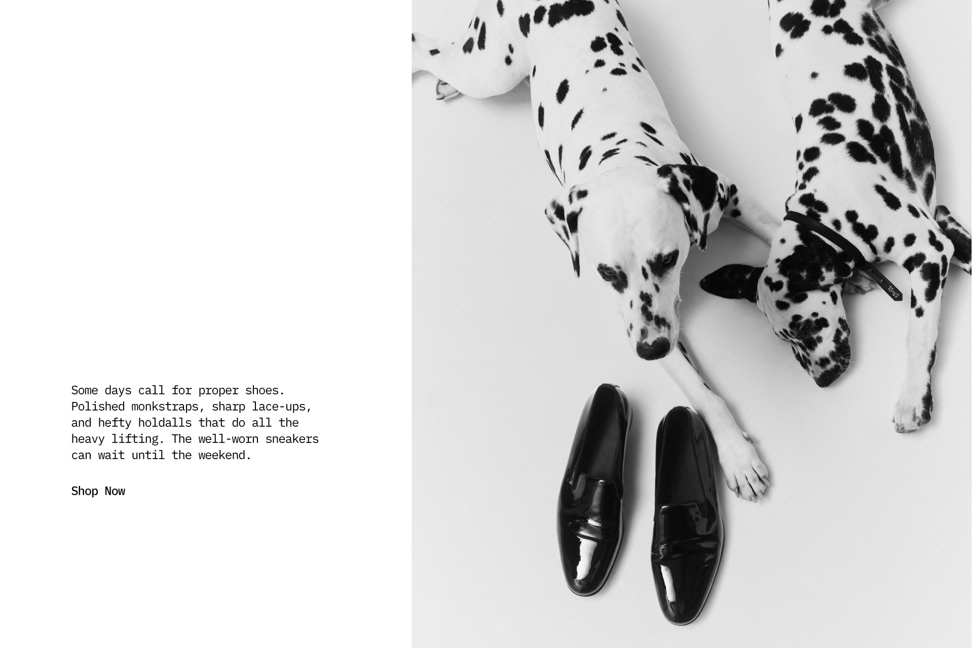 Level Shoes Top Picks — Shop Now