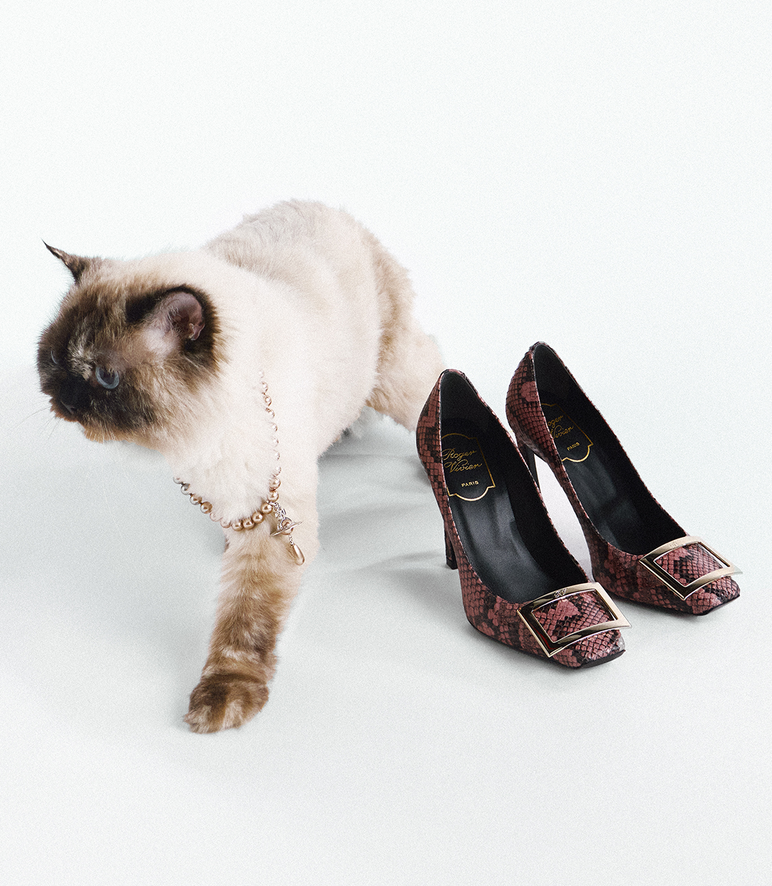 Roger Vivier pumps campaign — Shop Bridal