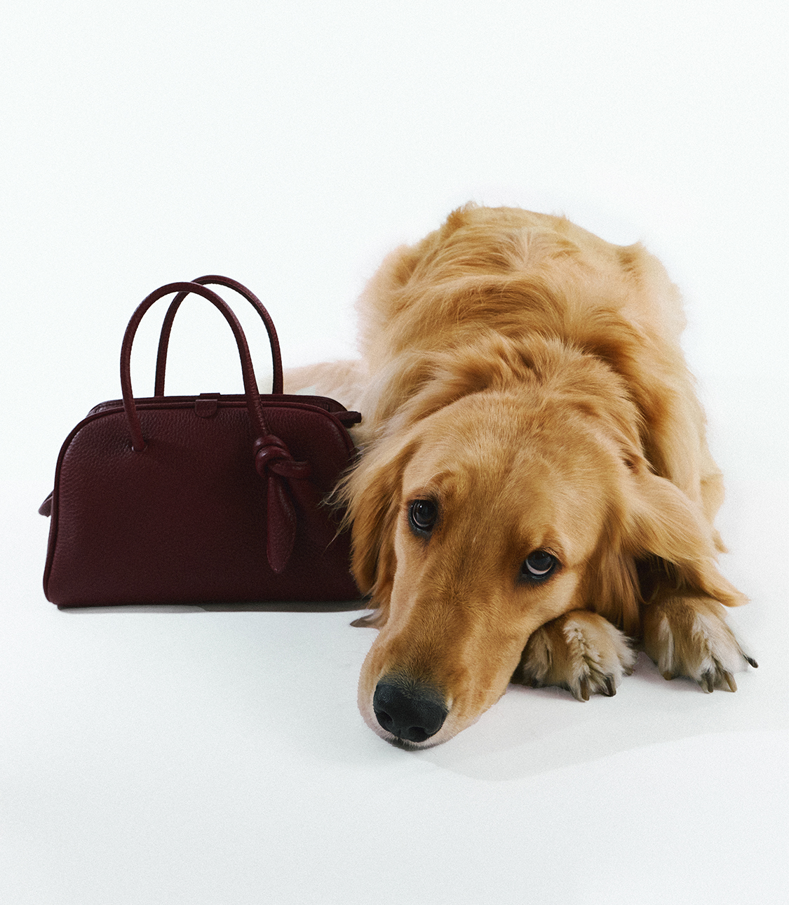 Level Shoes — Shop Jacquemus & More accessories