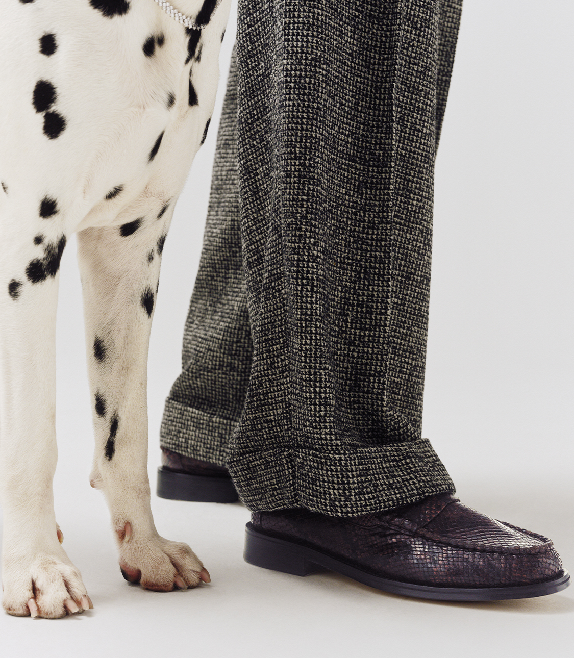 JW Anderson footwear campaign — Shop The Designer