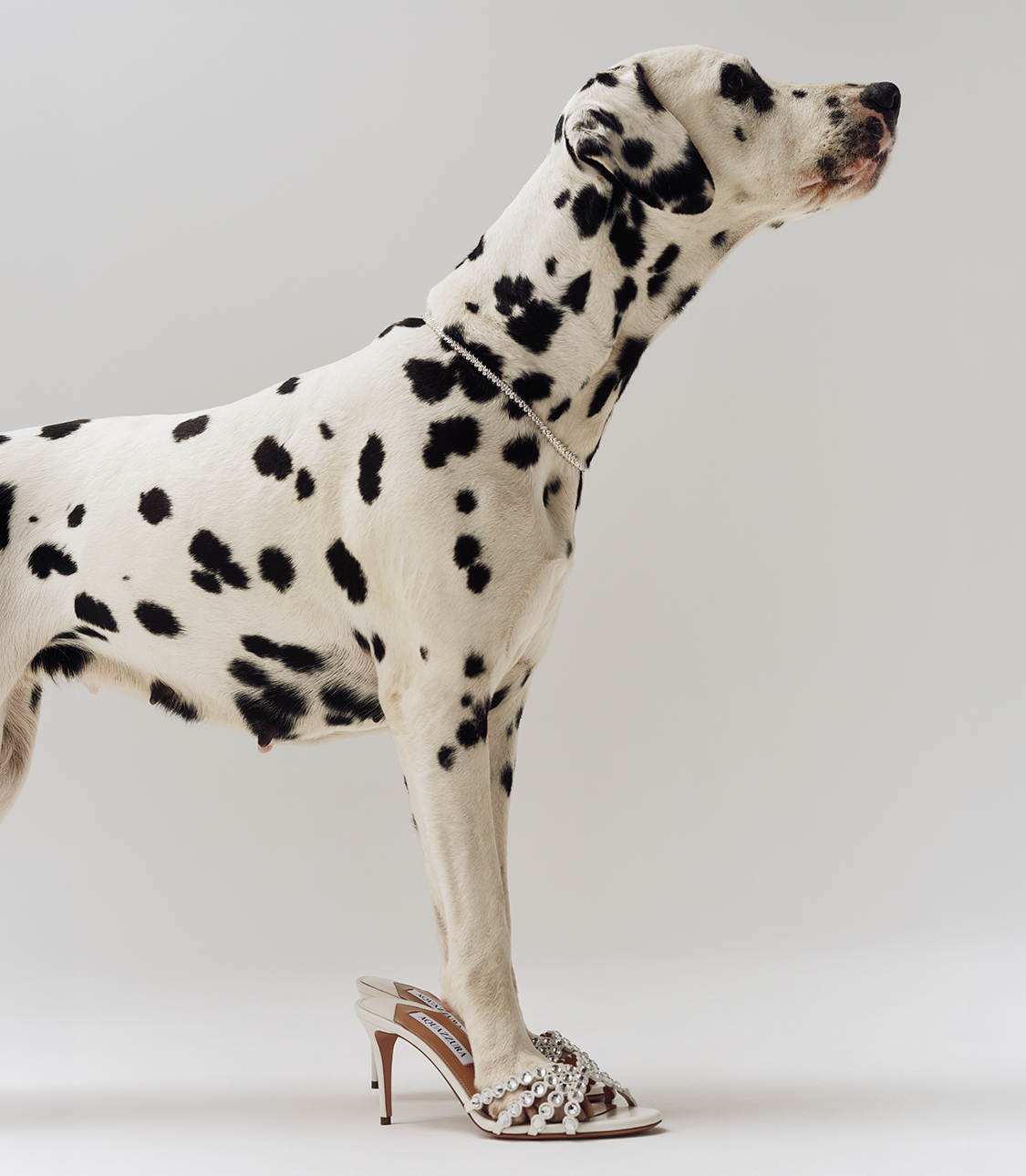 Malone Souliers — Shop The Designer