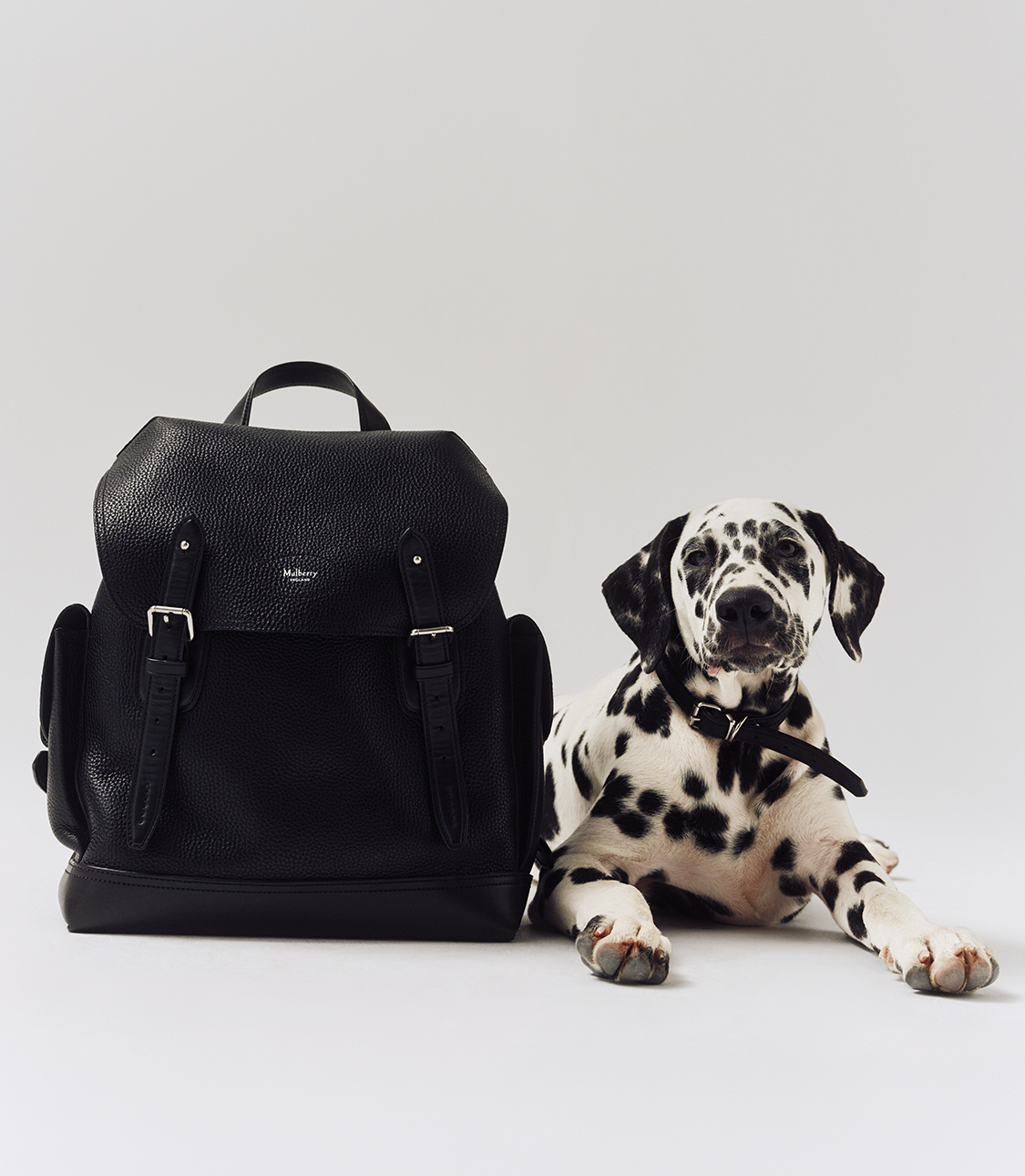 حملة Mulberry — تسوق الإكسسوارات
