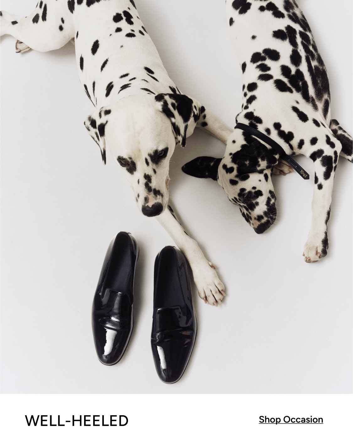 Maison Margiela collection at Level Shoes — Shop The Collection